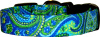 Vibrant Blue & Green Paisley Handmade Dog Collar